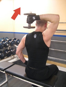 1-arm-triceps-extension.jpg